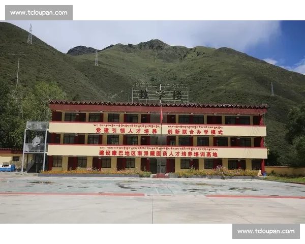 打造青少年足球培训体系助力未来之星全面成长发展计划创新实践工程