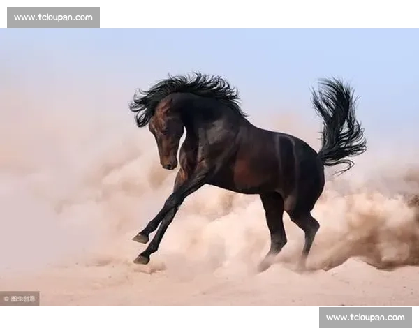 从默默无闻到一骑绝尘的时代黑马崛起与逆袭成功全解析 从默默无闻到一骑绝尘的时代黑马崛起与逆袭成功全解析